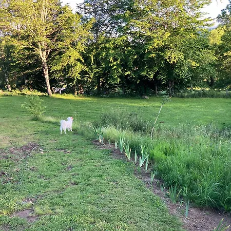 Emplacement Pour Toile De Tente Relais Nofeer Campsite